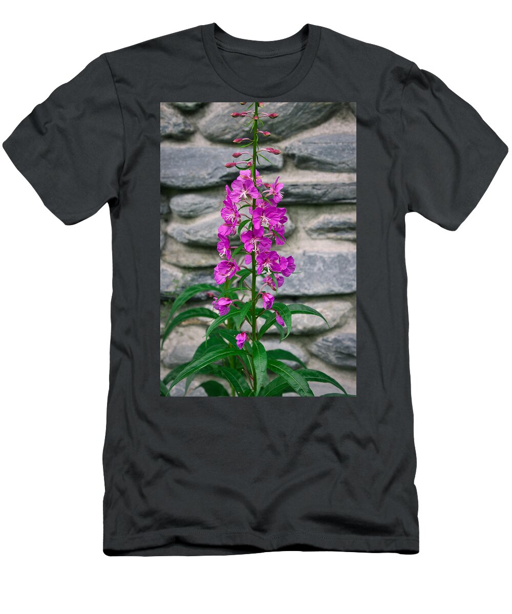 Fireweed T-Shirt featuring the photograph Alaskan Fireweed II by Steph Gabler