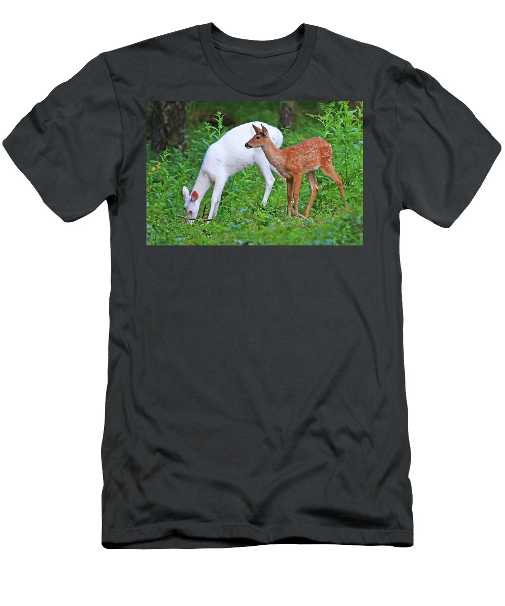 Albino Deer T-Shirt featuring the photograph Albino Deer with Her Fawn by Shixing Wen