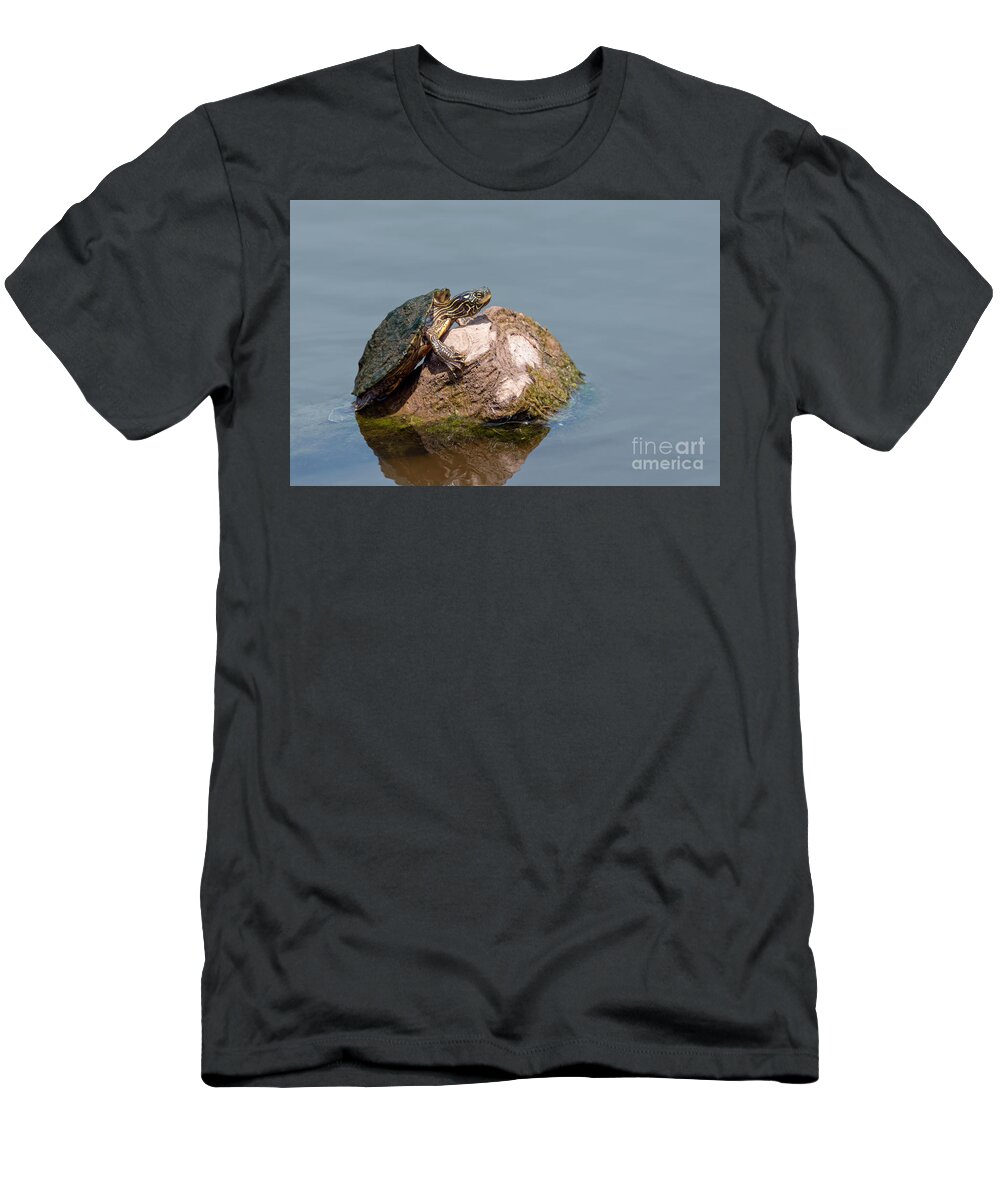 Photography T-Shirt featuring the photograph Algae-covered Painted Turtle by Alma Danison