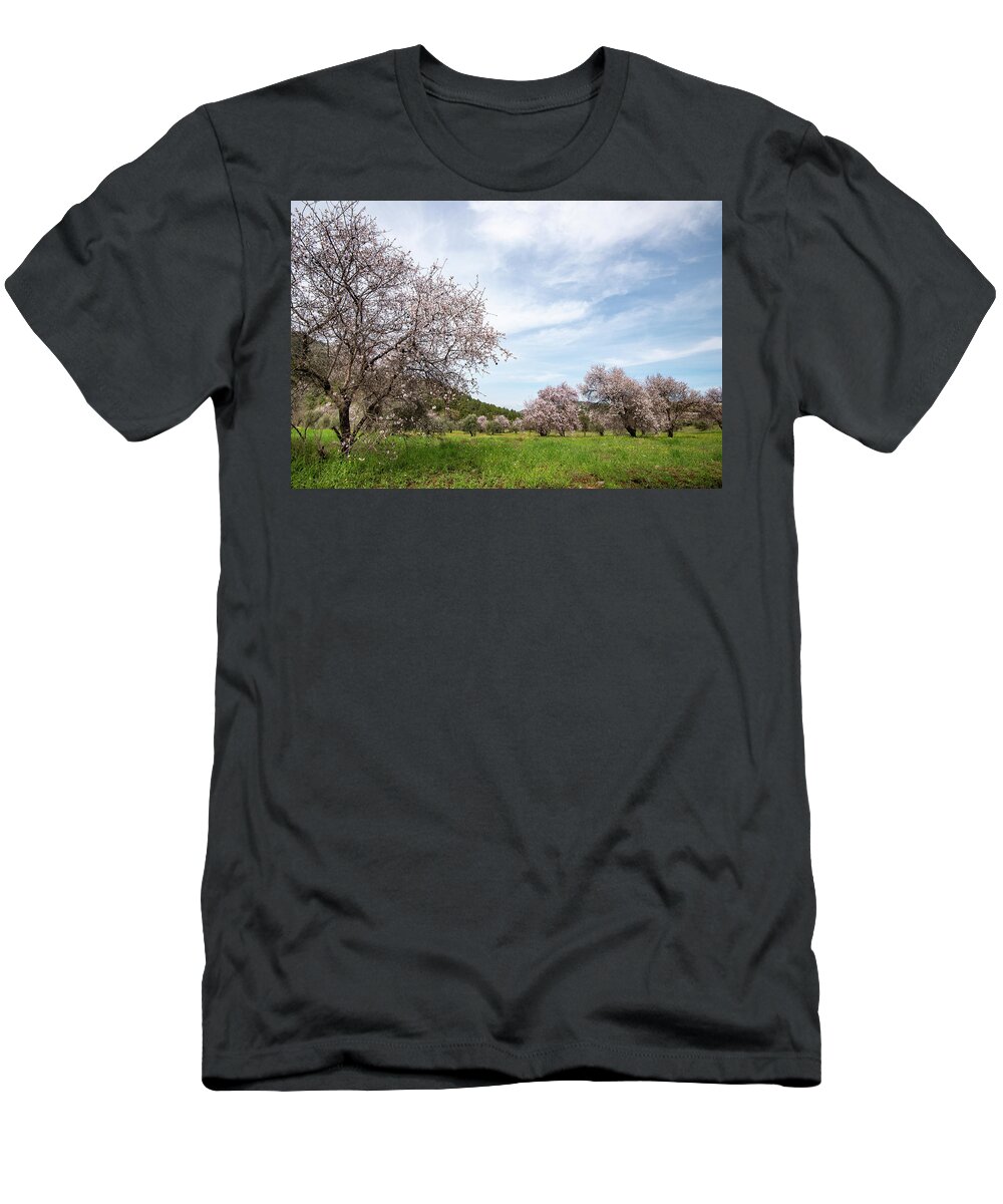 Spring T-Shirt featuring the photograph Almond trees bloom in spring against blue sky. by Michalakis Ppalis
