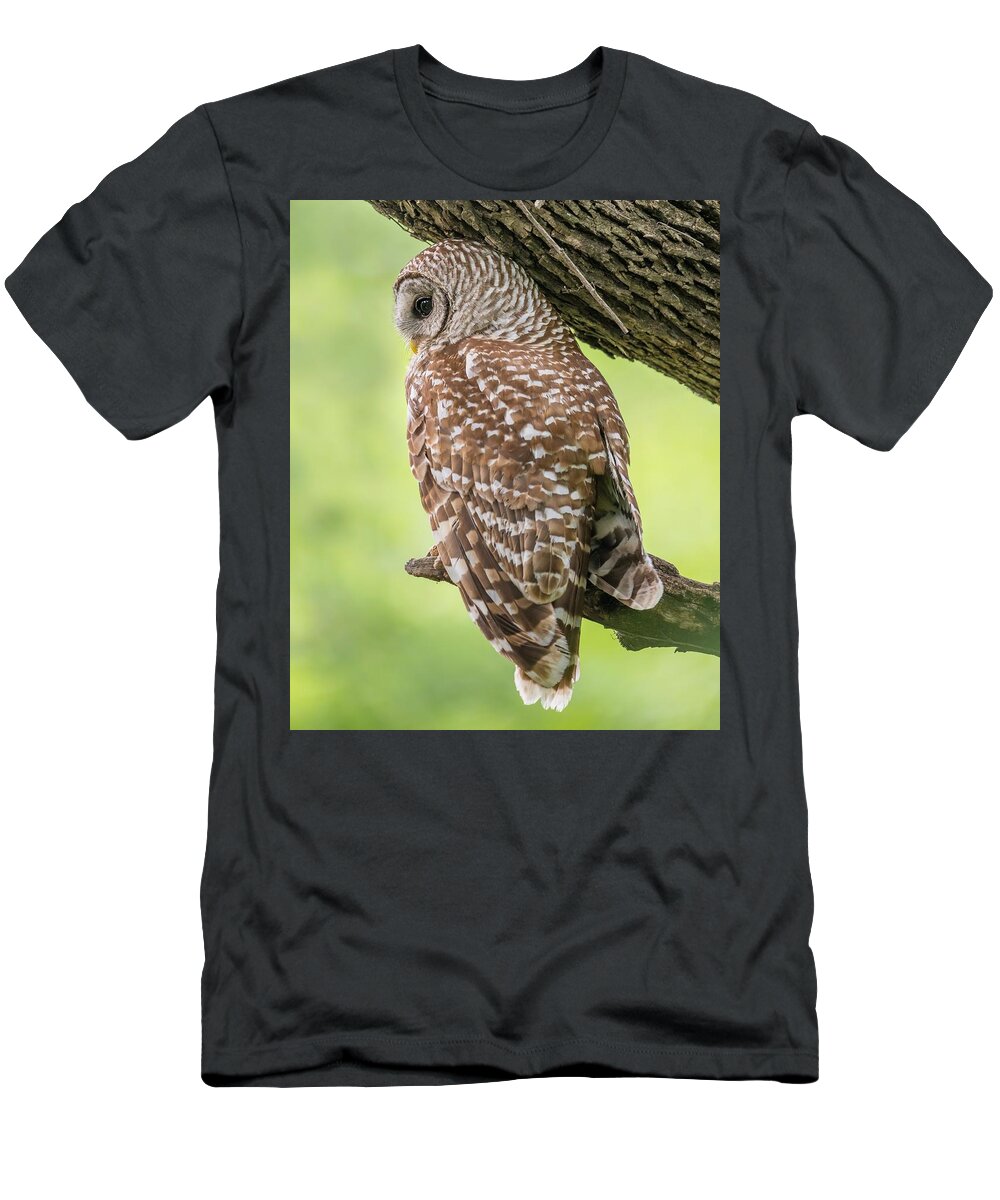 Cute Owlet T-Shirt featuring the photograph Always on Alert - Papa Barred Owl by Puttaswamy Ravishankar