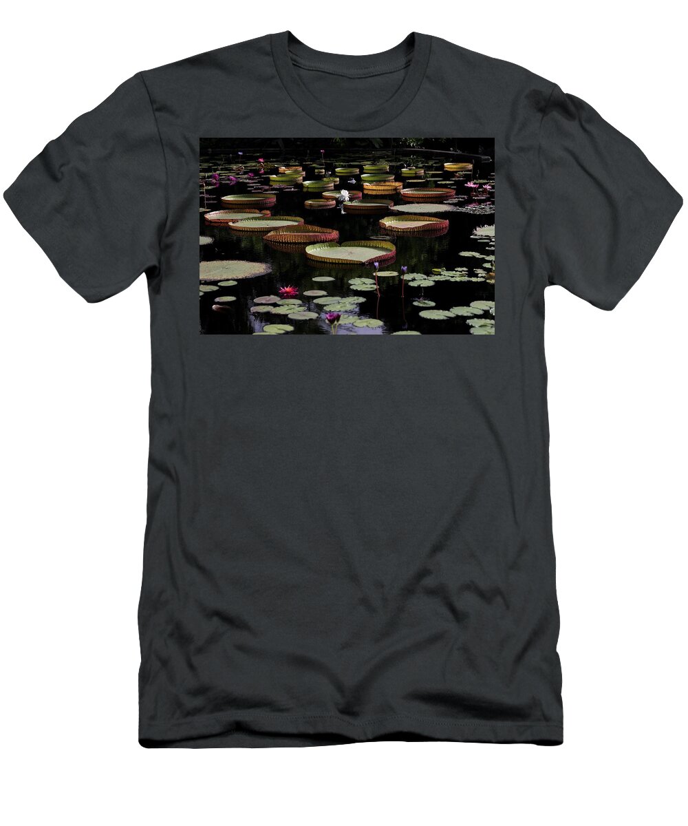 Amazon Water-lily T-Shirt featuring the photograph Amazon Water Lily by Mingming Jiang