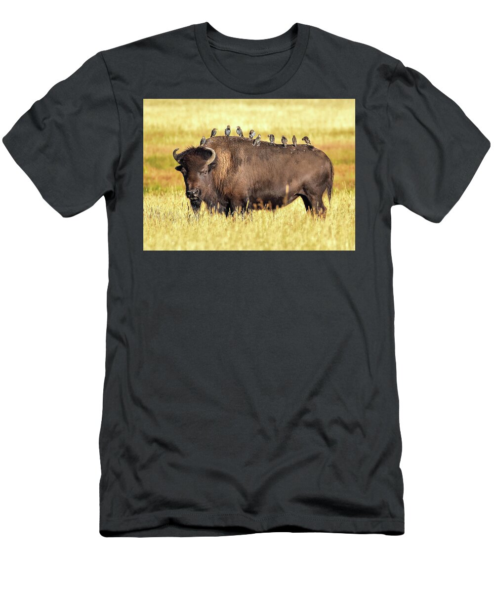 Wildlife T-Shirt featuring the photograph Bison With Starlings by Moris Senegor