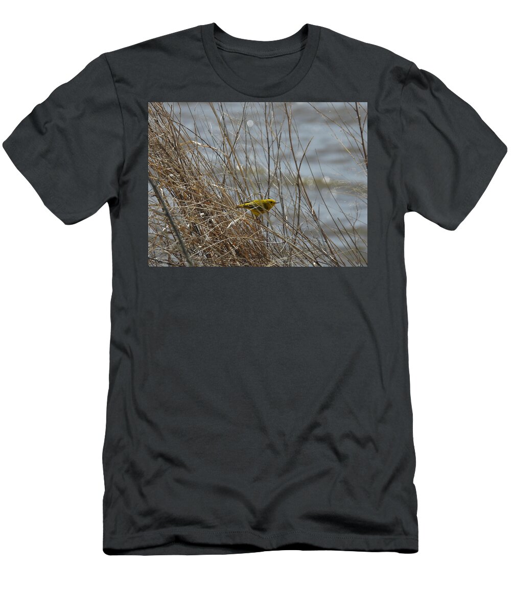 Warbler T-Shirt featuring the photograph American Yellow Warbler on the Lake Shore by Amanda R Wright
