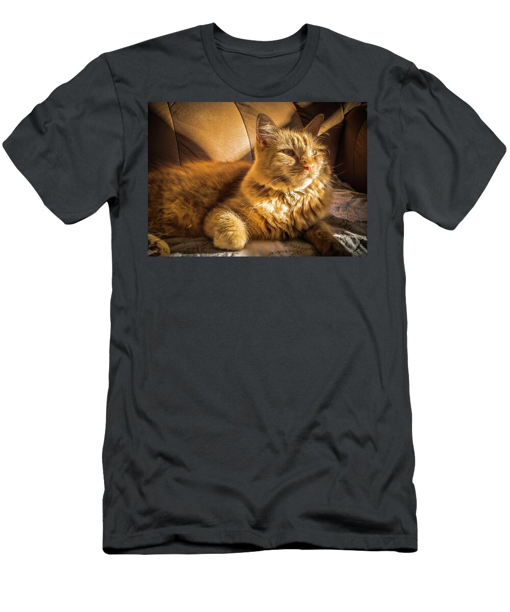 Cats T-Shirt featuring the photograph An Orange Cat Getting Some Sun by Guy Whiteley