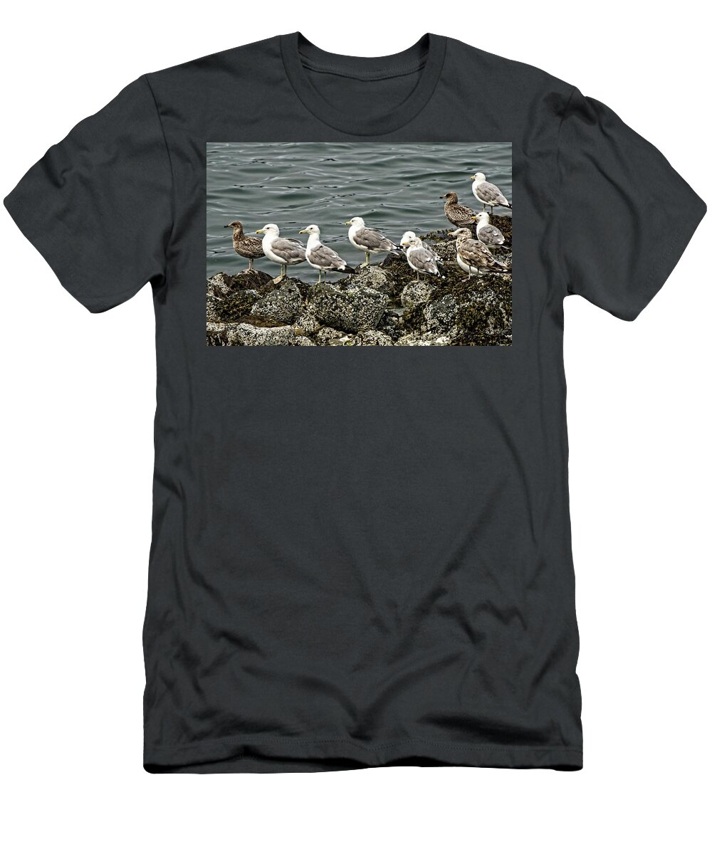 Coast T-Shirt featuring the photograph And The Crowd Cheers by DADPhotography
