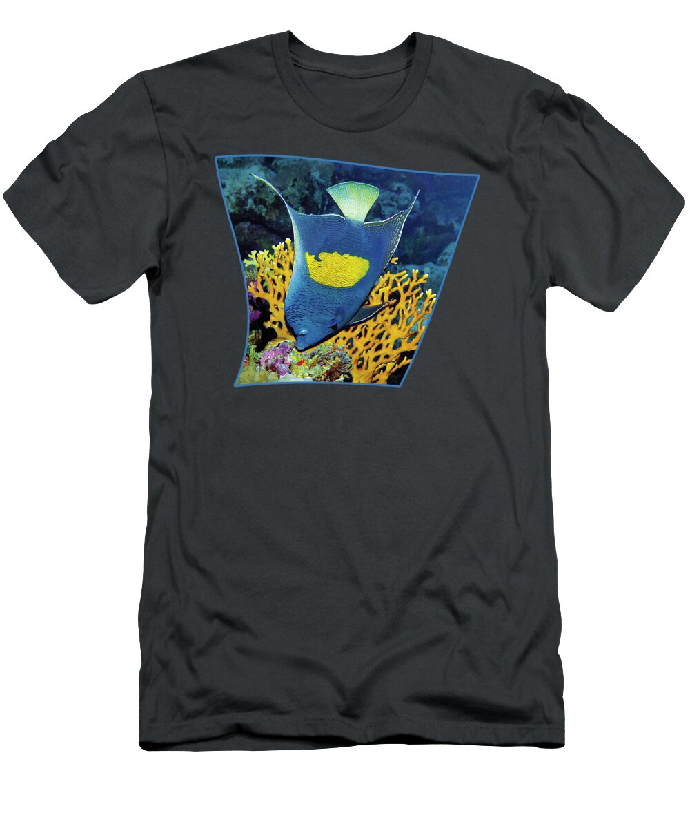 Angelfish T-Shirt featuring the photograph Angelfish at coralreef - by Ute Niemann