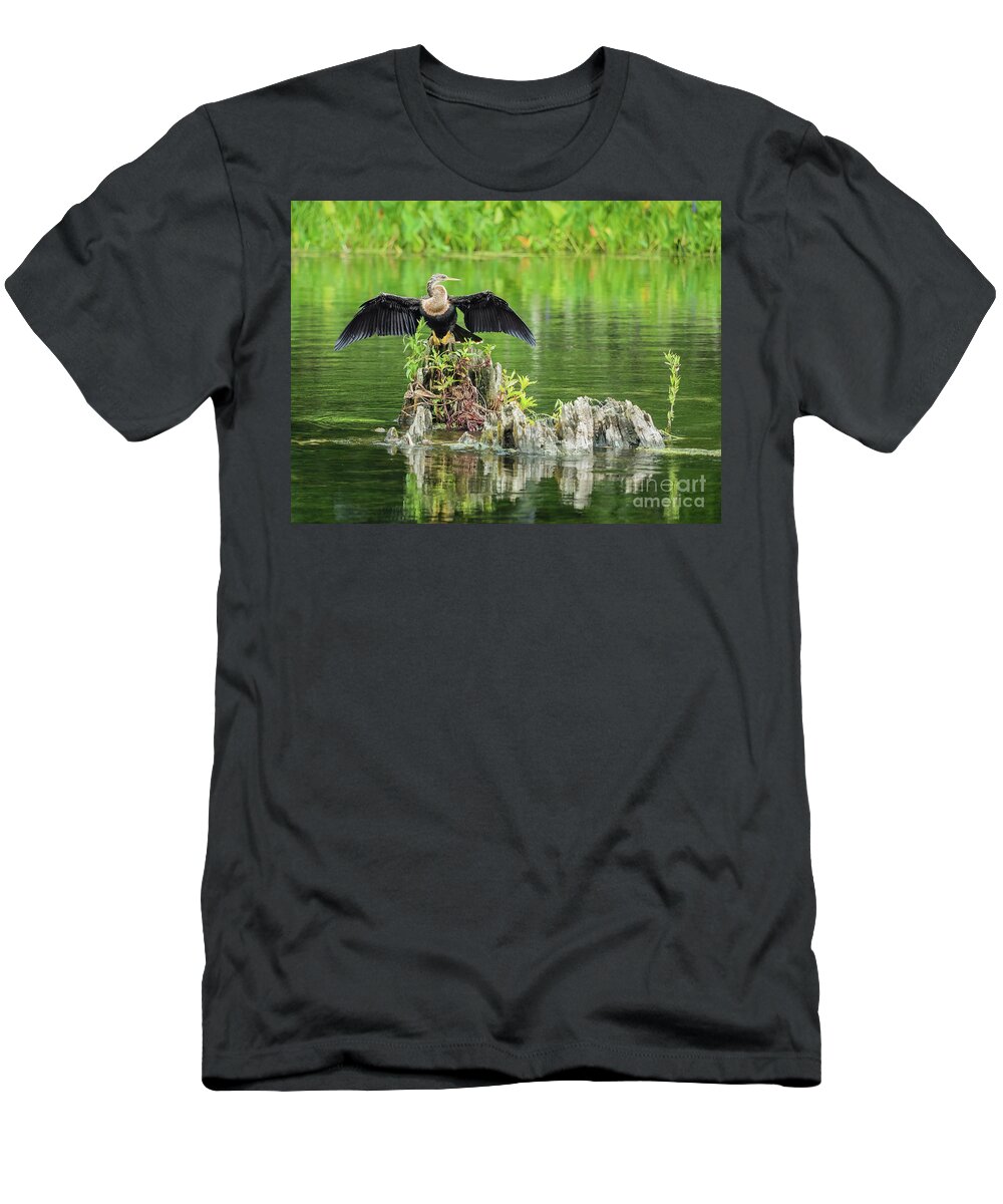 Anhinga T-Shirt featuring the photograph Anhinga drying it's feathers by Scott and Dixie Wiley