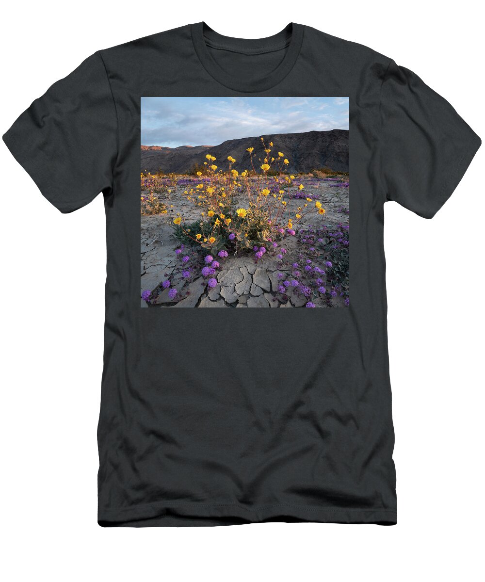 San Diego T-Shirt featuring the photograph Anza Borrego Yellow Flowers in Morning Light by William Dunigan