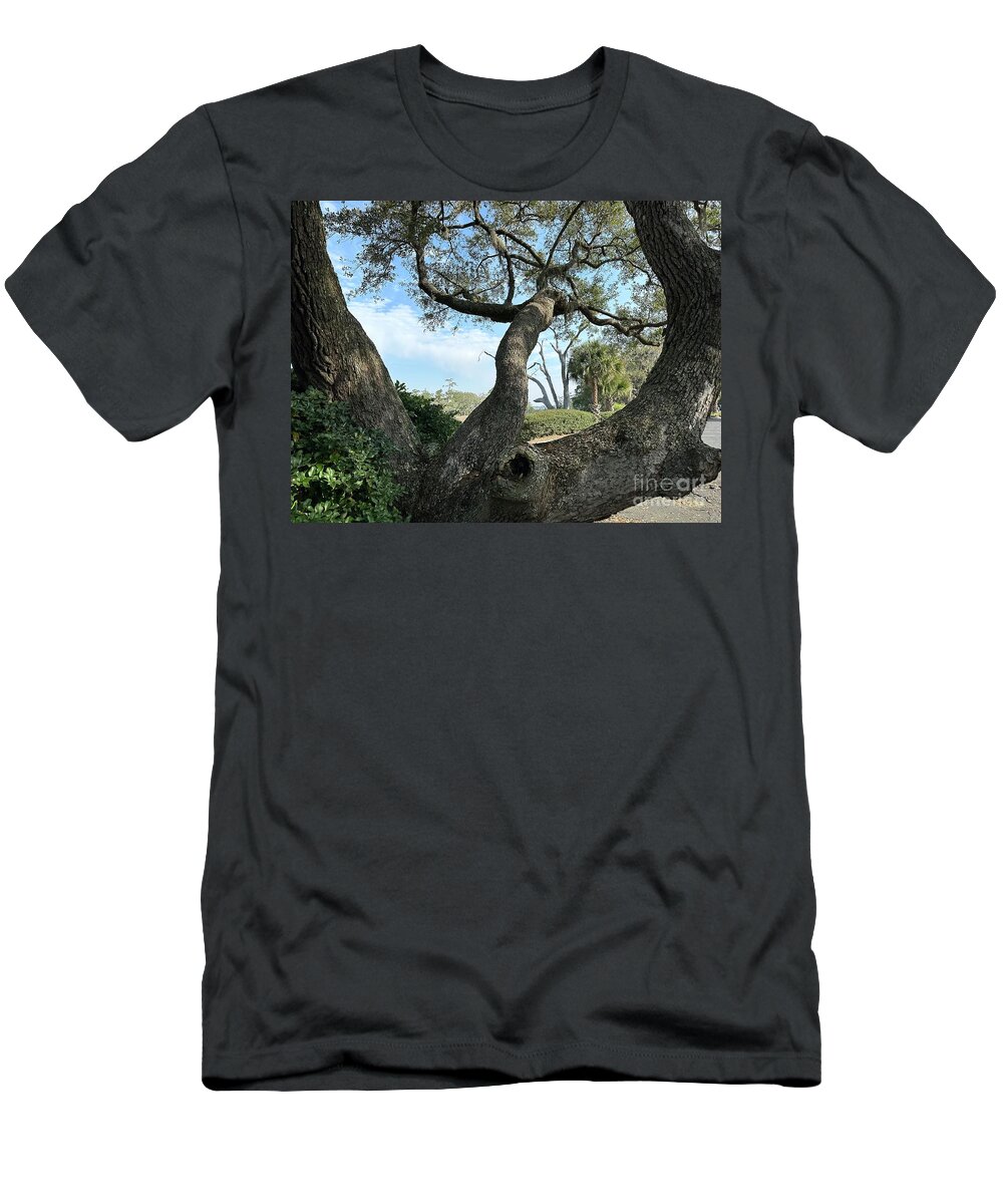 Oak T-Shirt featuring the photograph Artistic Oak Tree by Catherine Wilson