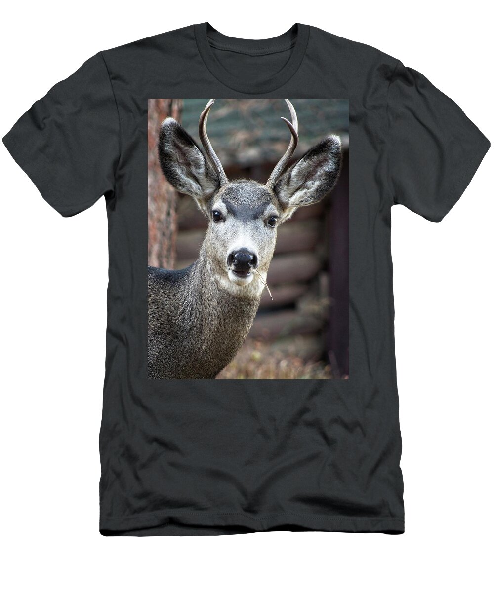 Rack T-Shirt featuring the photograph A Curious Deer by Loren Gilbert