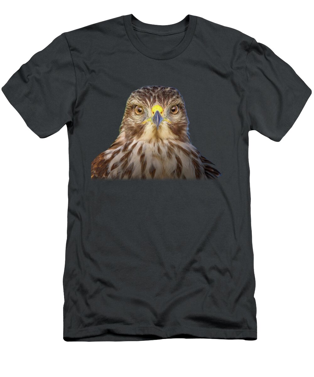 Red Shouldered Hawk T-Shirt featuring the photograph Portrait of a Raptor by Mark Andrew Thomas