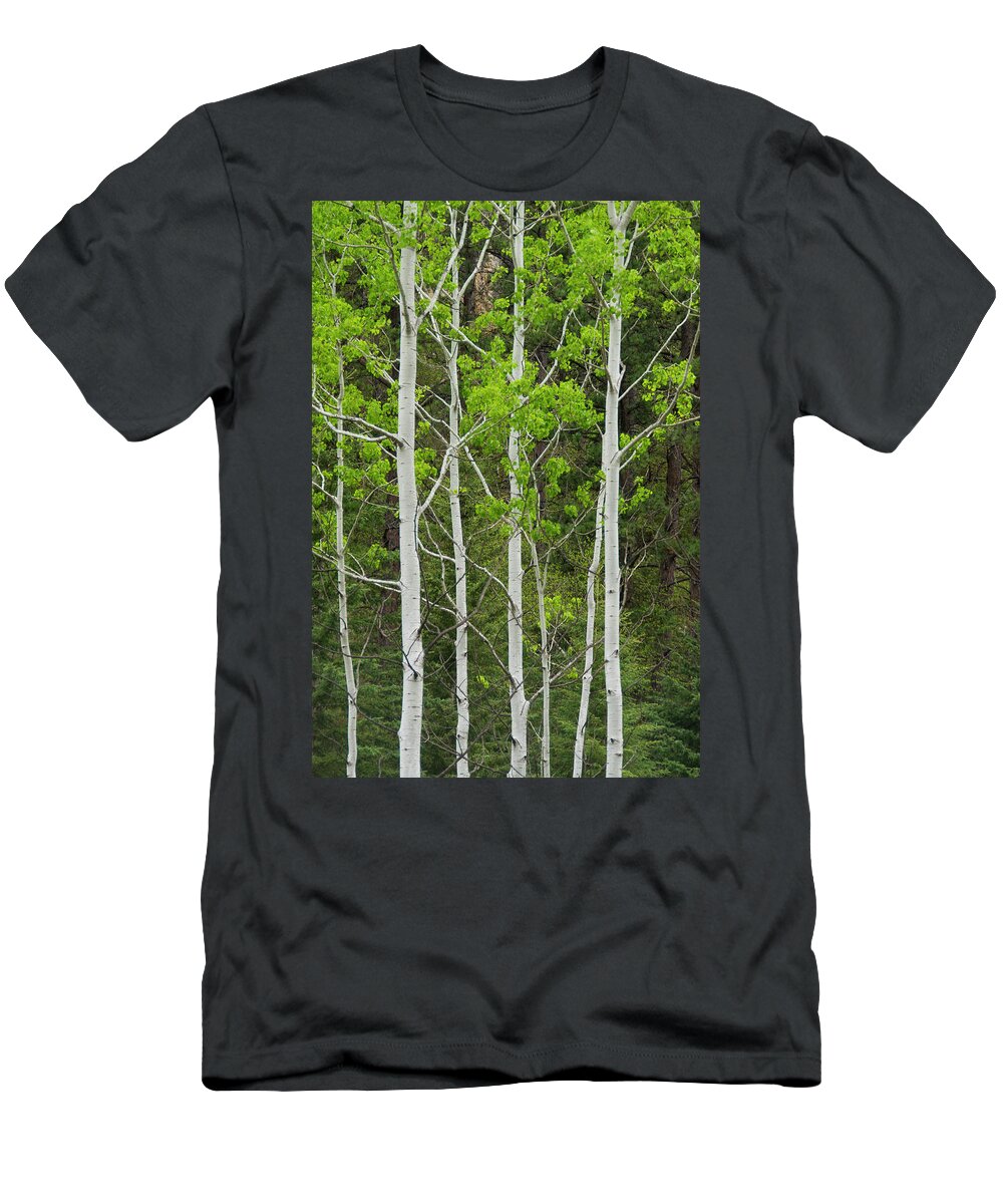 South Dakota T-Shirt featuring the photograph Aspens by Larry Bohlin