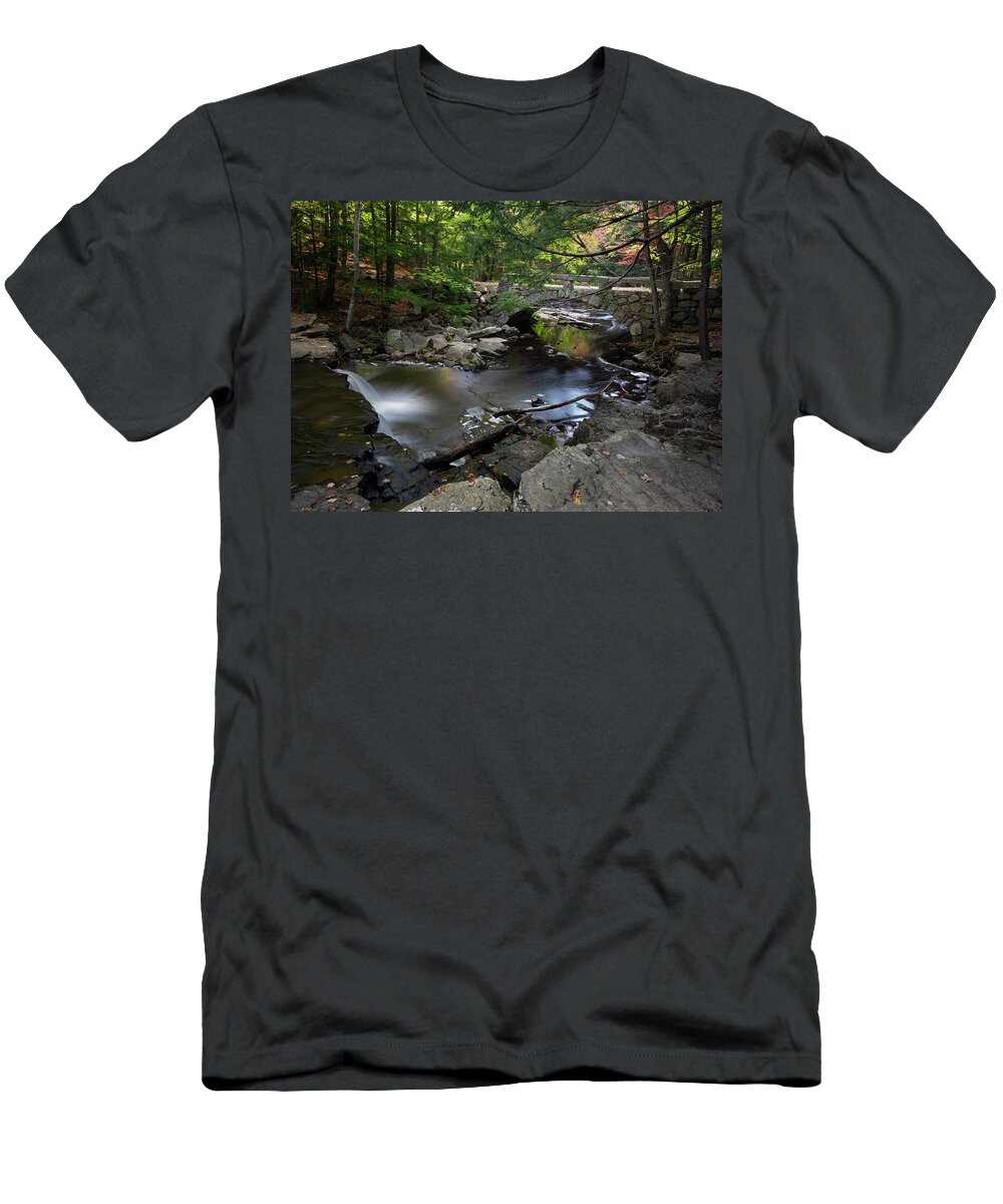 Vaughan Woods T-Shirt featuring the photograph At the Vaughan Woods 2 by Dimitry Papkov