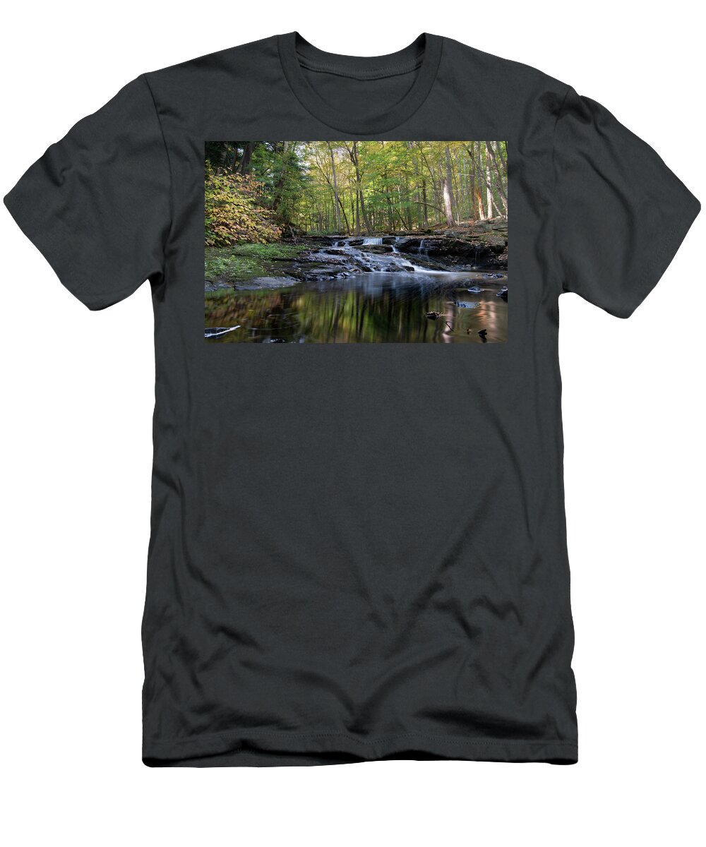 Vaughan Woods T-Shirt featuring the photograph At the Vaughan Woods 6 by Dimitry Papkov