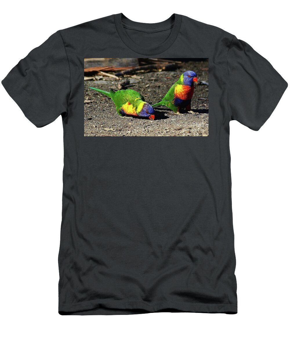 Blair Stuart T-Shirt featuring the photograph Australian Native Birds - Parakeets by Blair Stuart