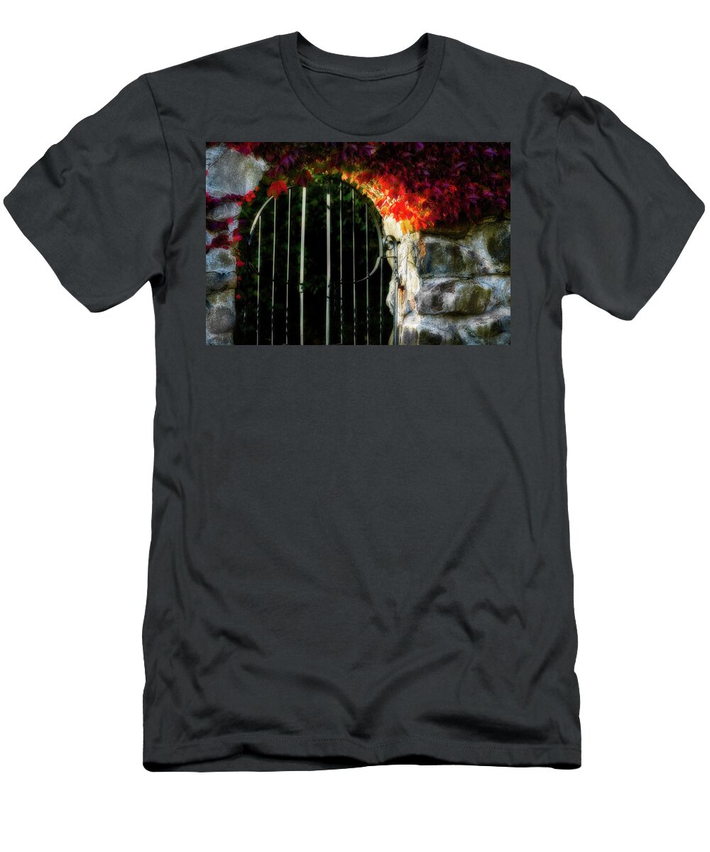 Fall Foliage T-Shirt featuring the photograph Autumn Arch by Michael Hubley