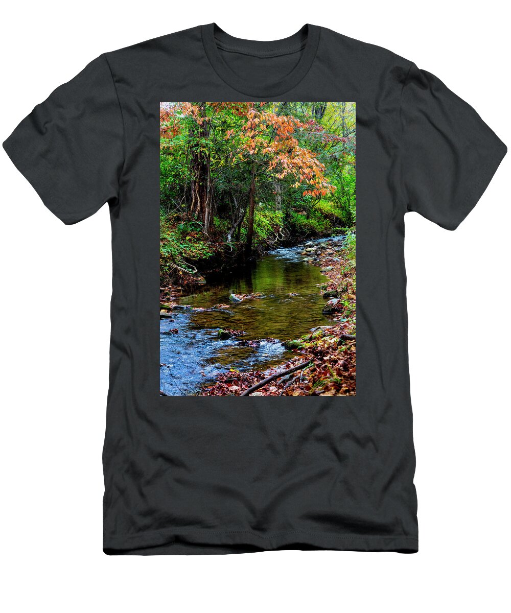 Blairsville T-Shirt featuring the photograph Autumn Branches over the Stream by Debra and Dave Vanderlaan