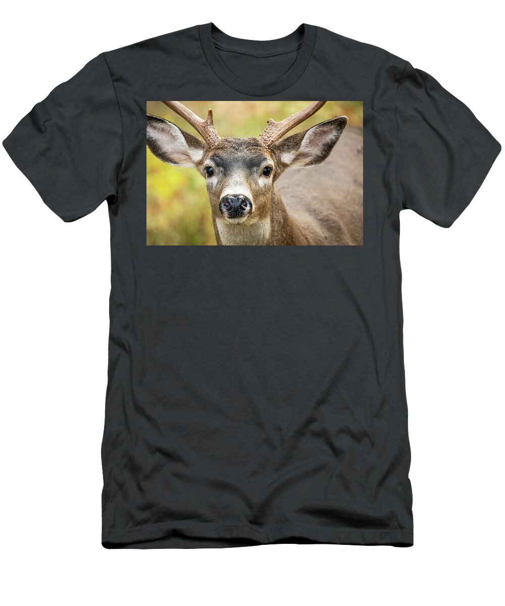 Deer T-Shirt featuring the photograph Autumn Buck by Bob Cournoyer
