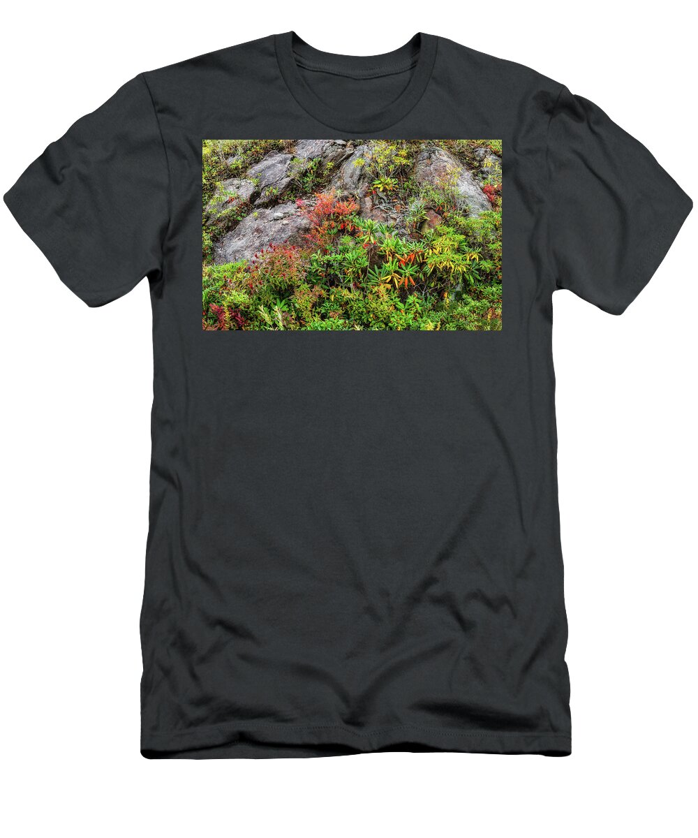 Autumn T-Shirt featuring the photograph Autumn Cliff Dwellers Panorama by Dan Carmichael