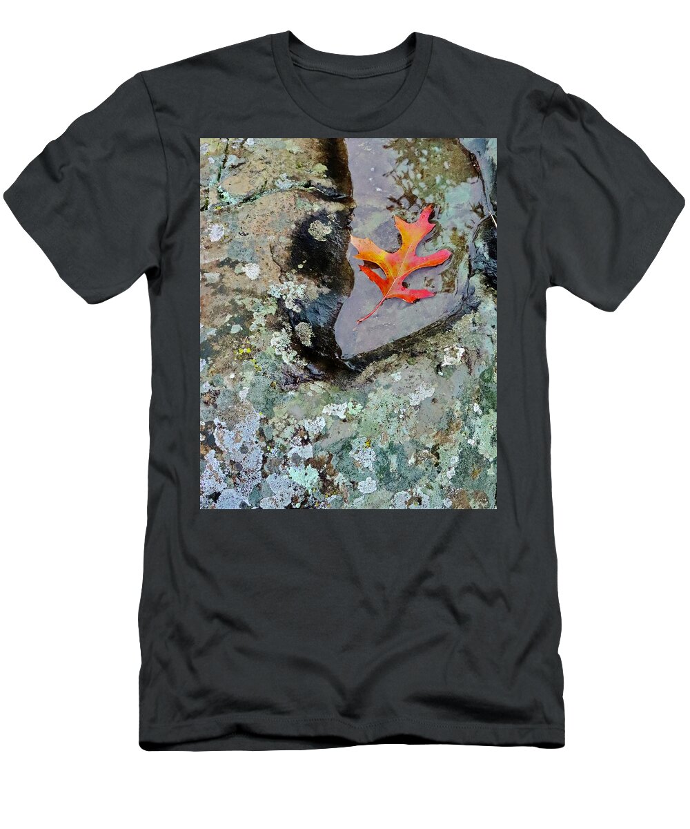 Autumn T-Shirt featuring the photograph Autumn Colors by Sarah Lilja