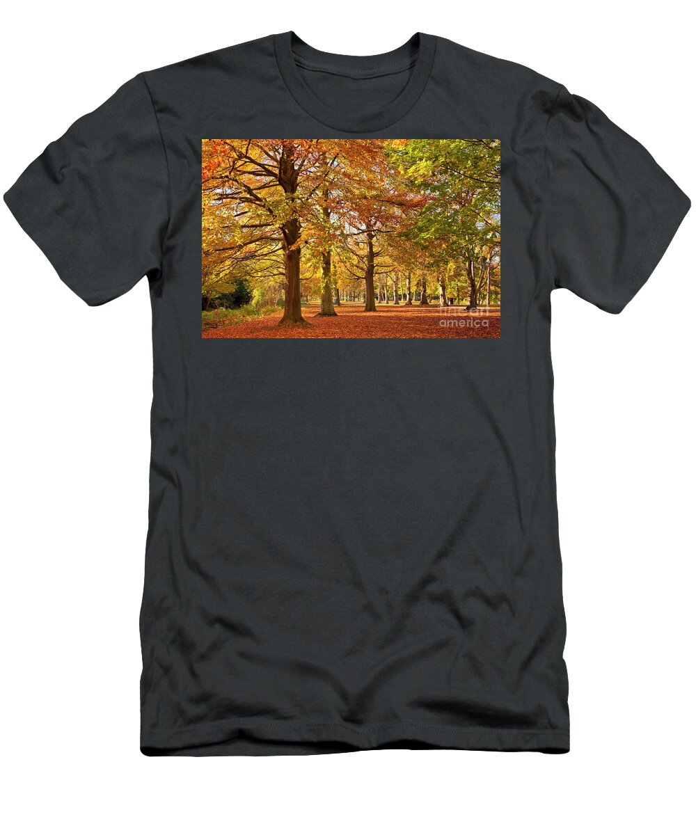 Autumn Trees T-Shirt featuring the photograph Autumn Colours, University Park, Nottingham by Neale And Judith Clark