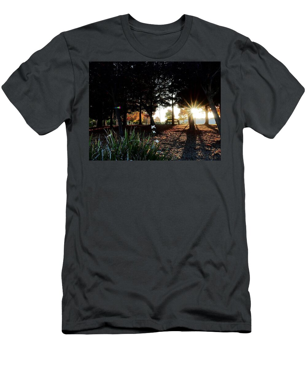 Season T-Shirt featuring the photograph Autumn Day Lilies by Richard Thomas