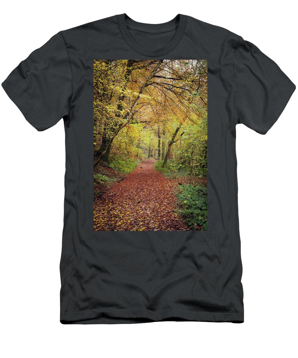 Cardiff T-Shirt featuring the photograph Autumn, in a nutshell by Gavin Lewis