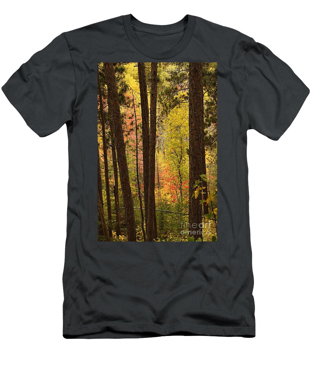 Landscape T-Shirt featuring the photograph Autumn in Hiding by Larry Ricker