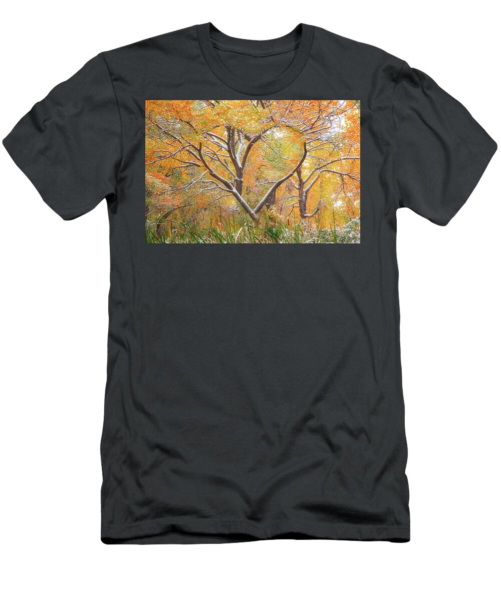 Fall T-Shirt featuring the photograph Autumn Love by Darren White