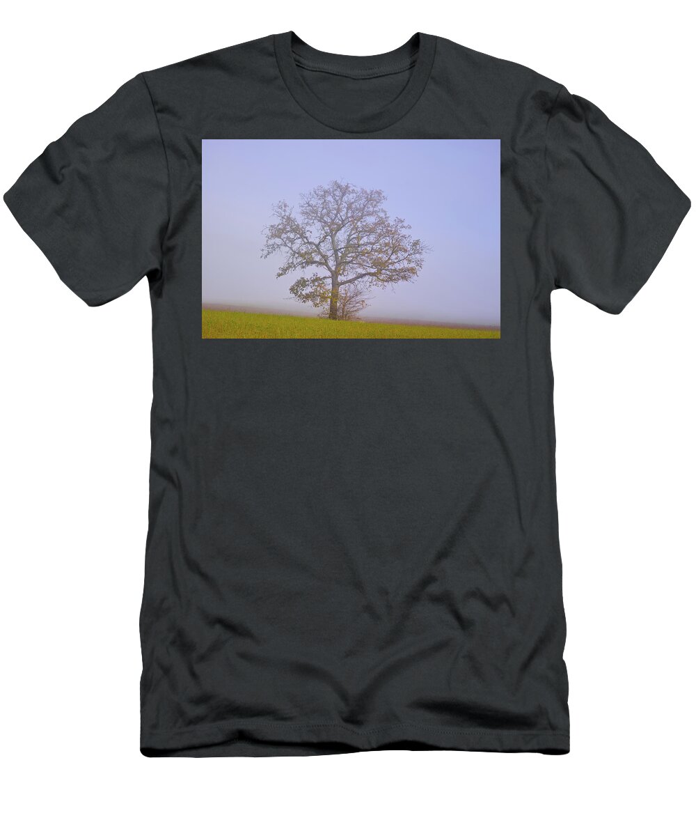 Landscape T-Shirt featuring the photograph Autumn mist by Karine GADRE