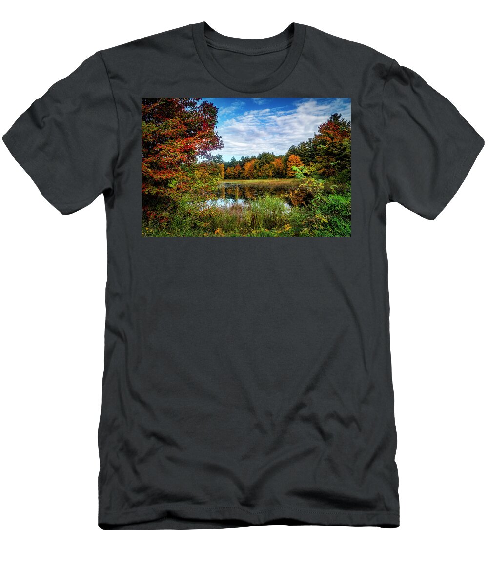 Colors Of Autumn T-Shirt featuring the photograph Autumn nature landscape 1 by Lilia S