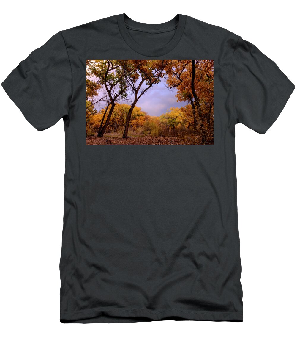 Scenic T-Shirt featuring the photograph Autumn Splendor by Mary Lee Dereske