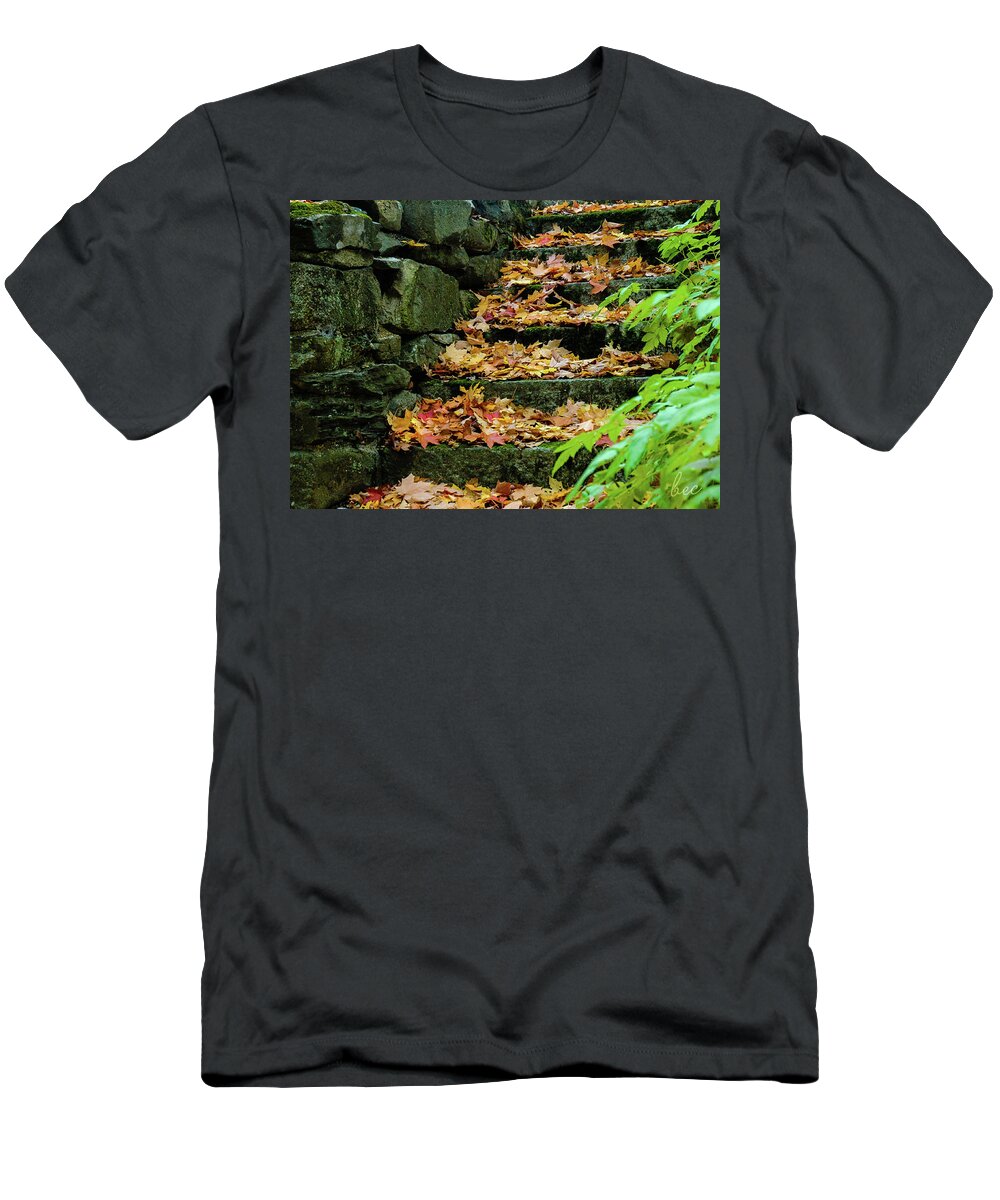Autumn Fall Season Stairs Stairway Leaves Stone Nature Outdoors Cemetery T-Shirt featuring the photograph Autumn stairway by Bruce Carpenter