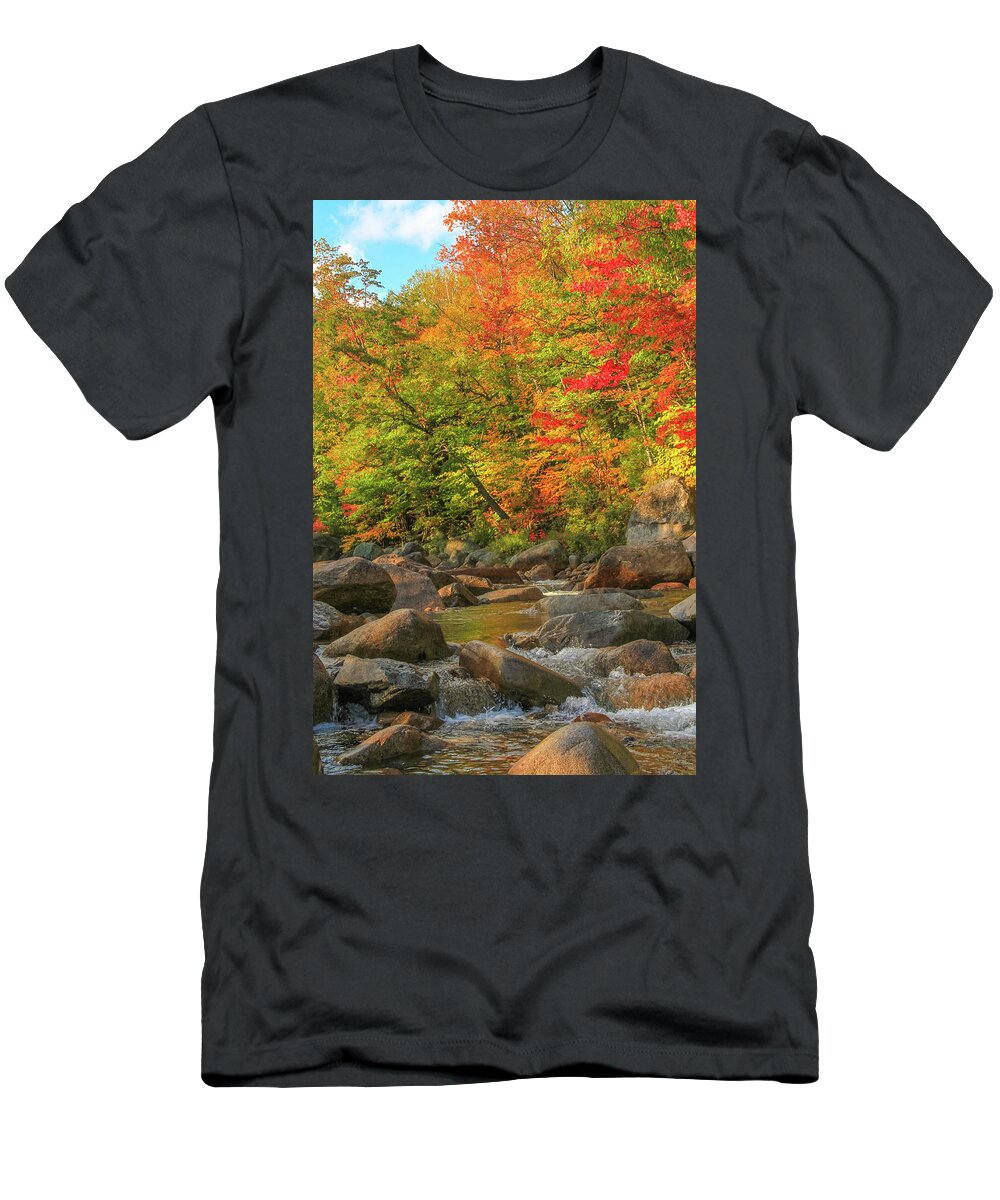 Autumn Stream T-Shirt featuring the photograph Autumn Stream by Dan Sproul