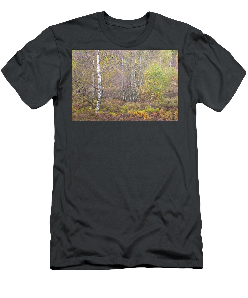 Autumn T-Shirt featuring the photograph Autumn with bilberries, bracken and silver birch trees by Anita Nicholson