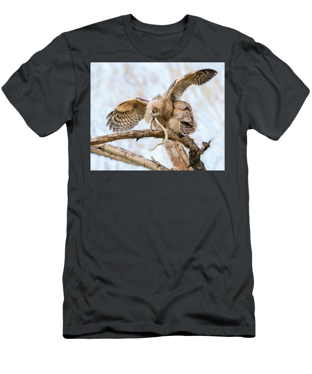 Great Horned Owls T-Shirt featuring the photograph Great Horned Owlet with Snake by Judi Dressler