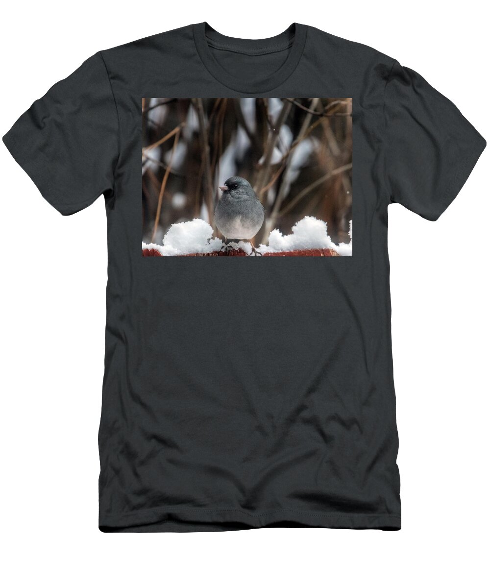 Junco T-Shirt featuring the photograph Baby, it's Cold Outside by Laura Putman