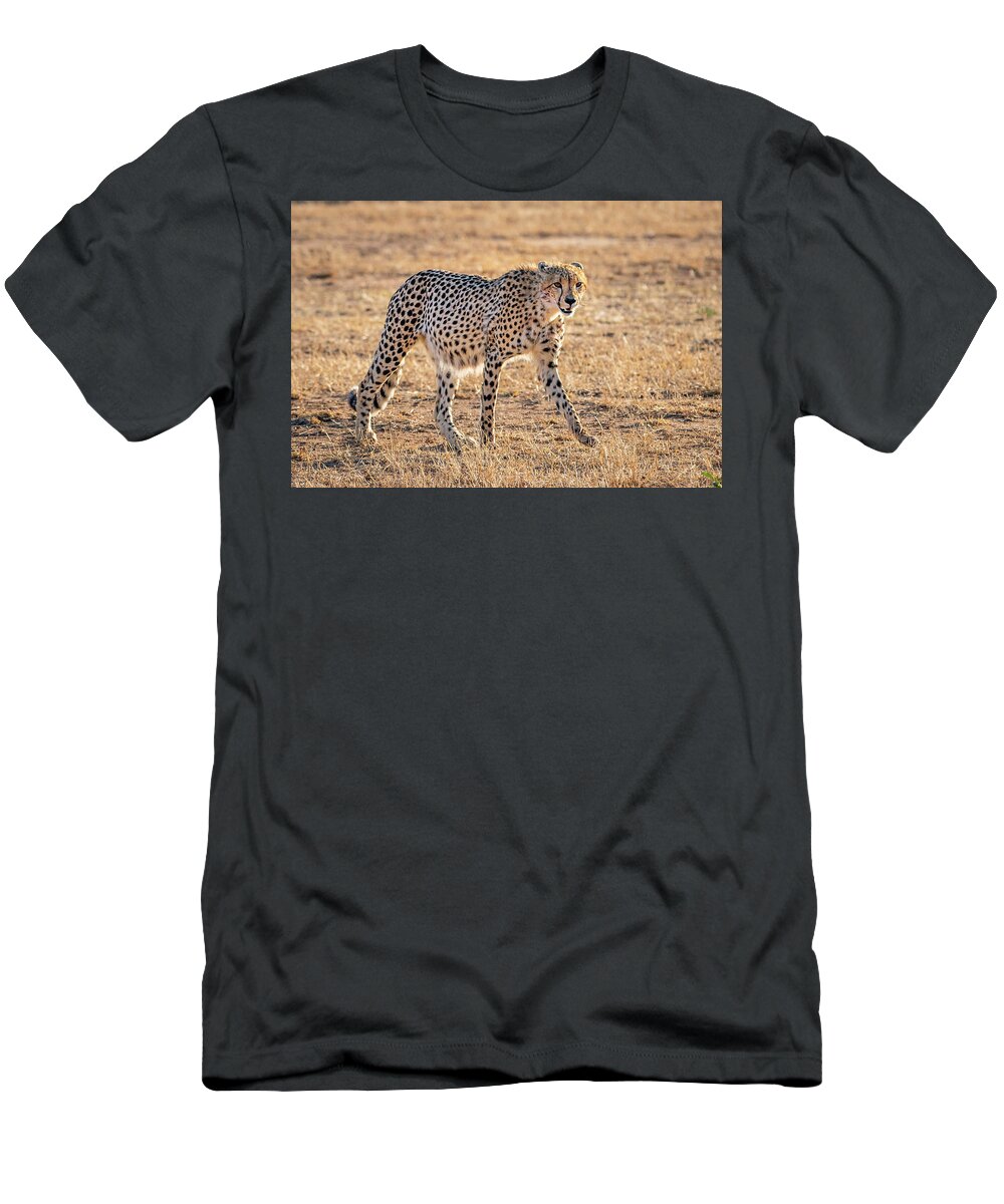 Cheetah T-Shirt featuring the photograph Backlit Cheetah by Elvira Peretsman