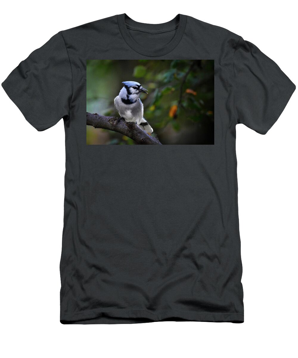 Limited T-Shirt featuring the photograph Backyard Bully by DArcy Evans