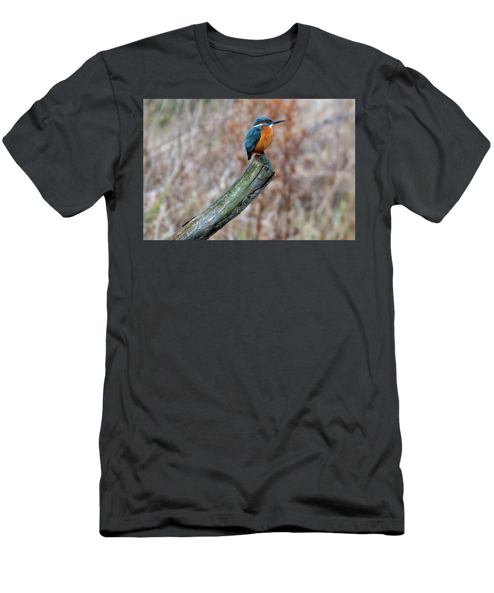 Kingfisher T-Shirt featuring the photograph Balance by Mark Hunter