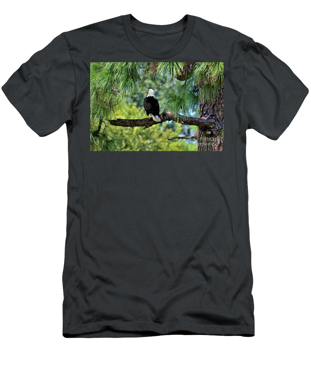 Bald Eagle T-Shirt featuring the photograph Bald Eagle American Symbol by Julie Adair