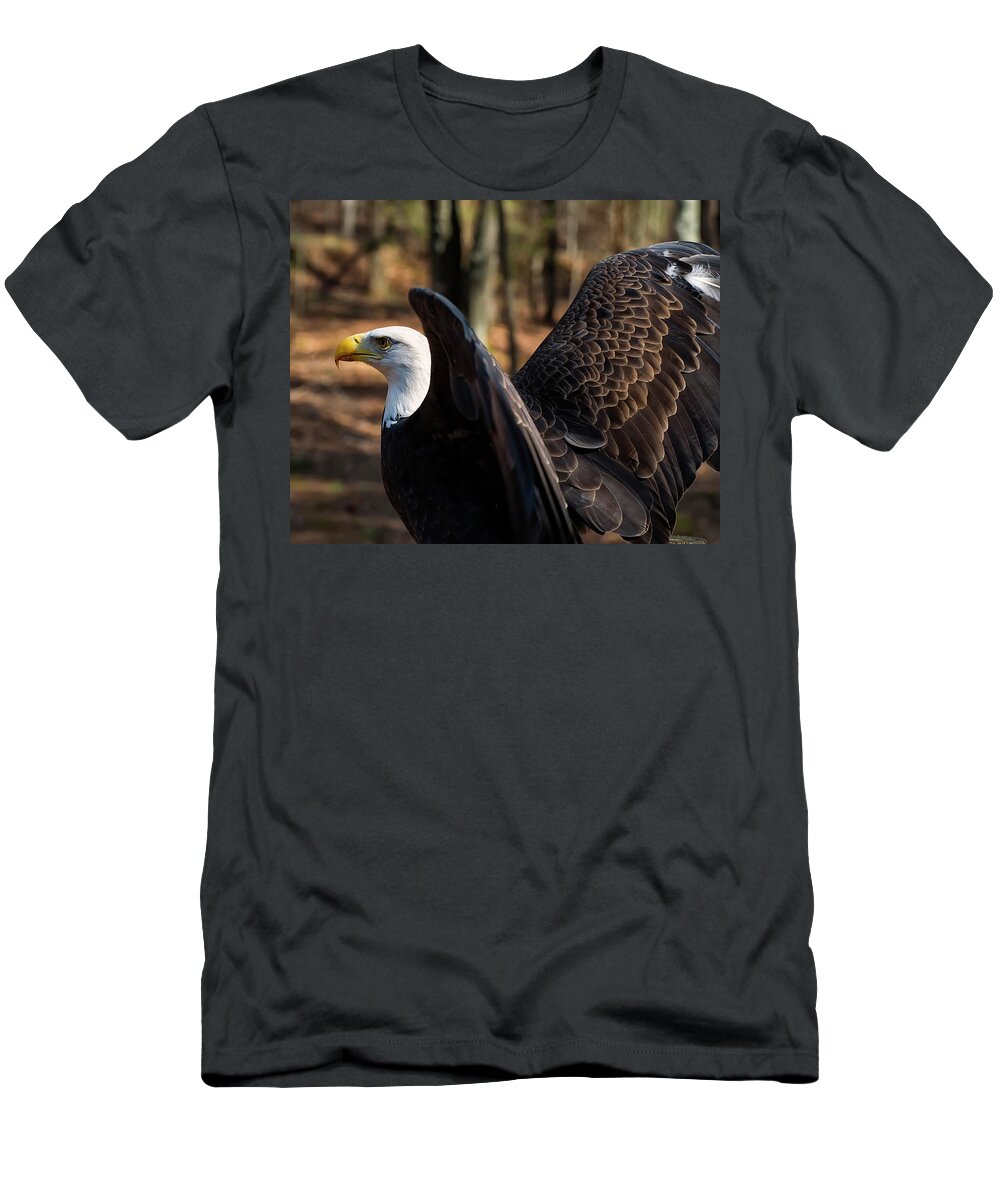 Bald Eagle T-Shirt featuring the photograph Bald eagle preparing for flight by Flees Photos