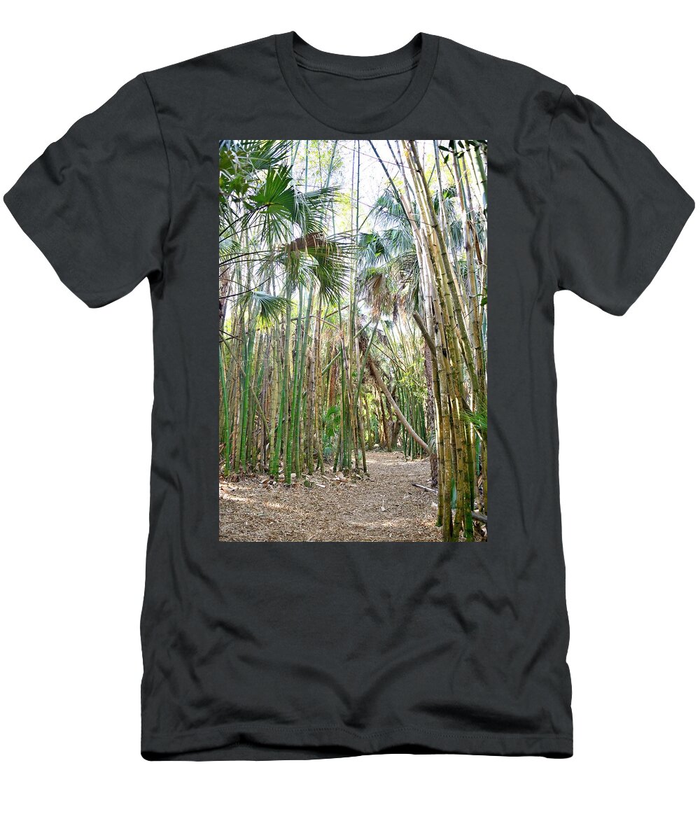 Bamboo Trees T-Shirt featuring the photograph Bamboo Forest by Alison Belsan Horton