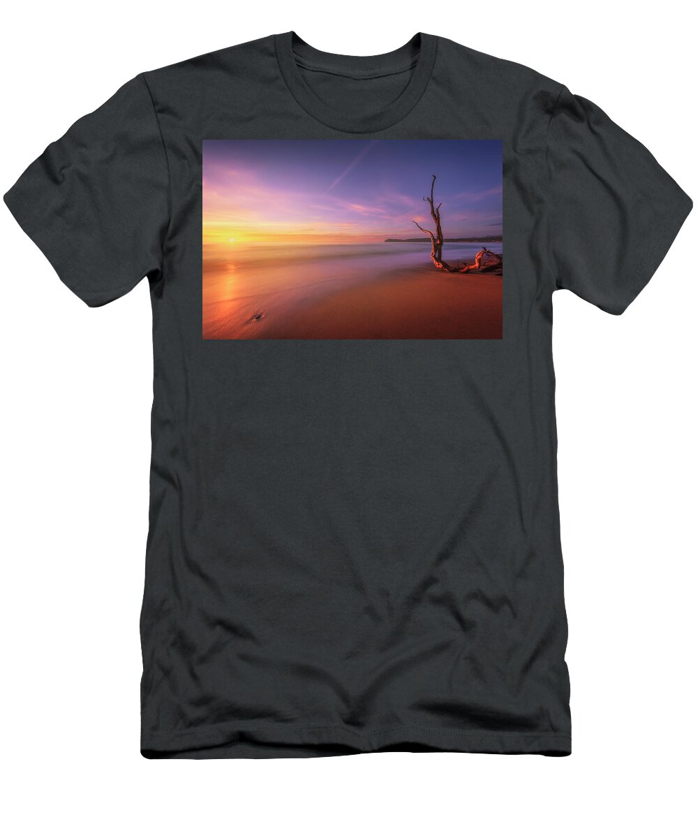 Baratti T-Shirt featuring the photograph Baratti beach and old tree trunk. by Stefano Orazzini