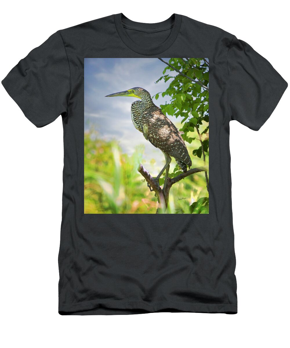 Bare-throated Tiger-heron T-Shirt featuring the photograph Bare-throated Tiger Heron by Jurgen Lorenzen