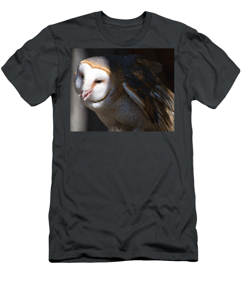 Barn Owl T-Shirt featuring the photograph Barn Owl 1 by Flees Photos