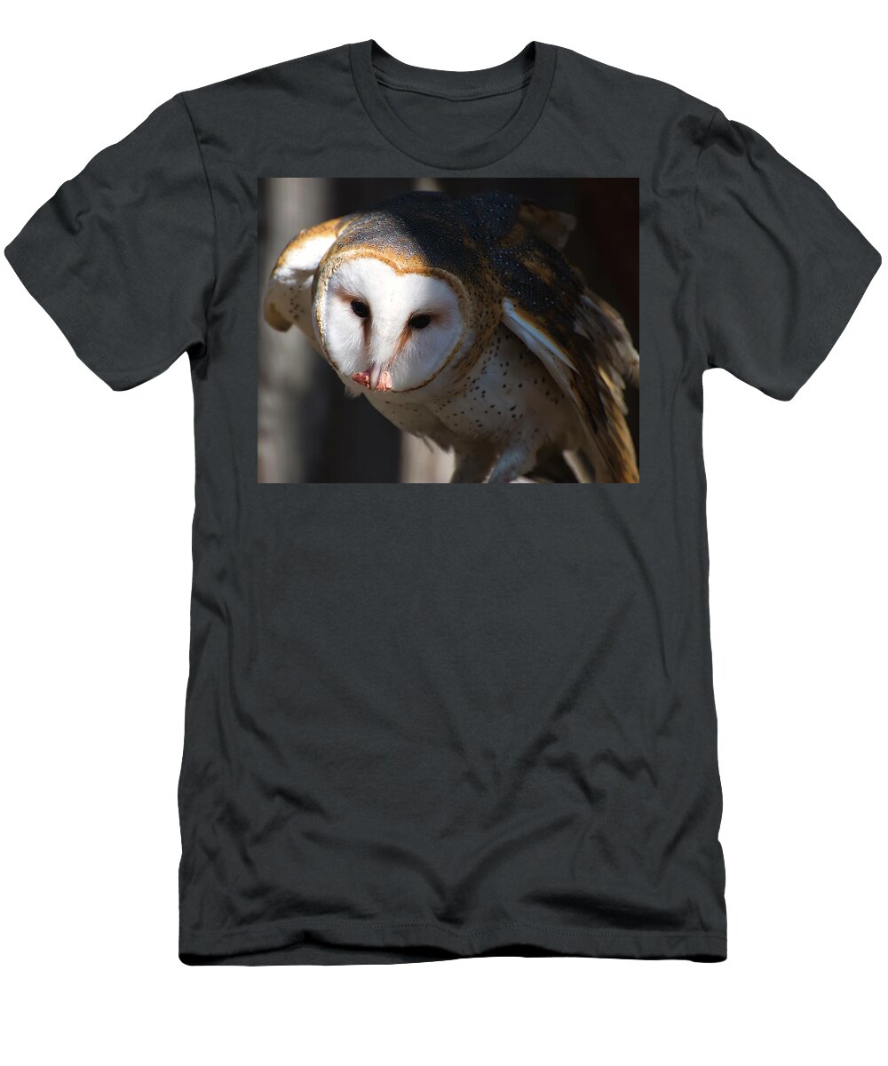 Barn Owl T-Shirt featuring the photograph Barn Owl Eating 2 by Flees Photos