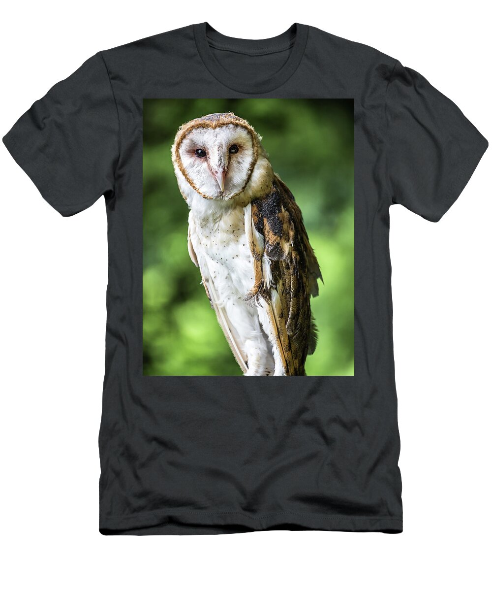 Raptors Owl Barn Owl T-Shirt featuring the photograph Barn owl by Robert Miller