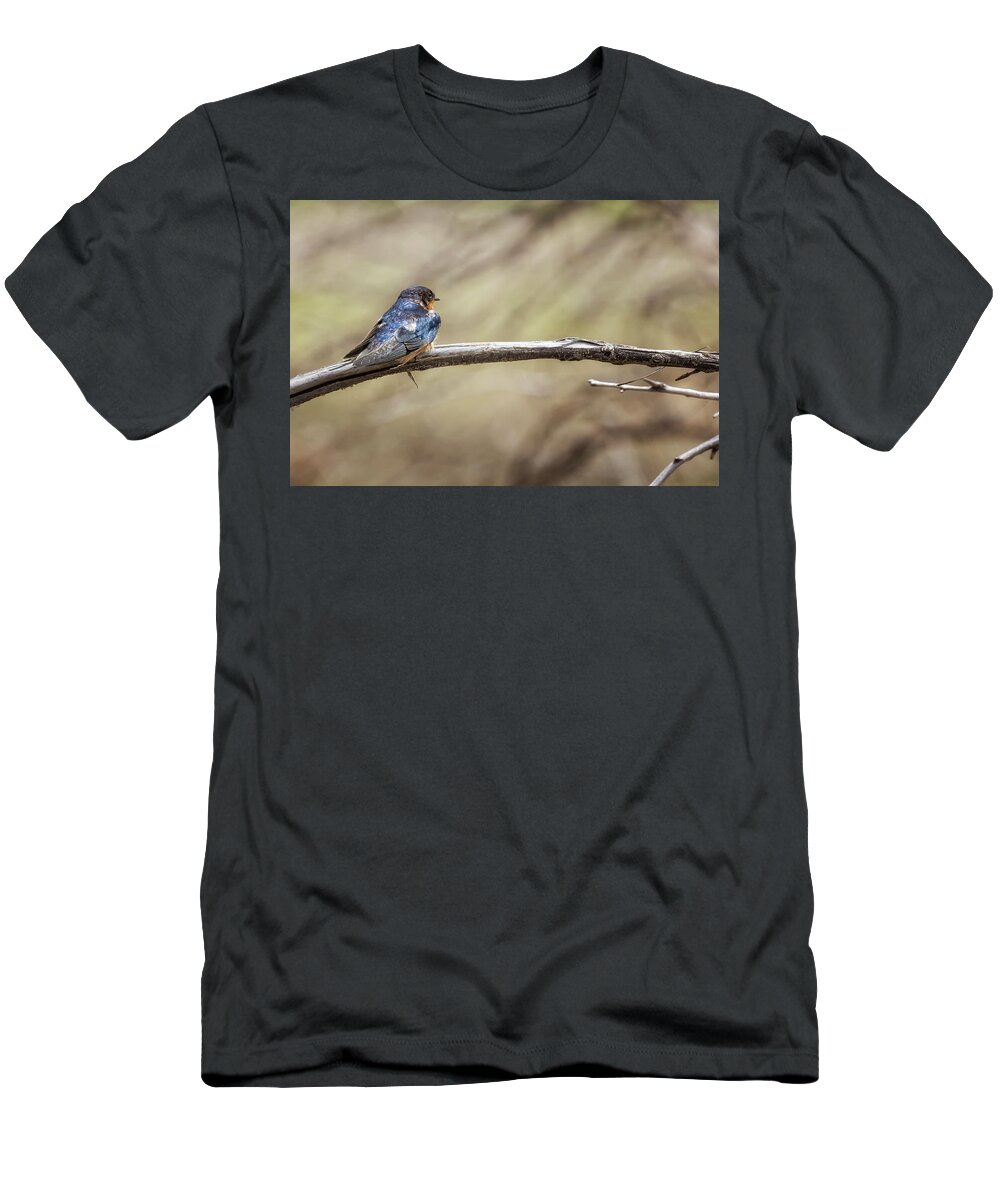Barn Swallow T-Shirt featuring the photograph Barn Swallow on a Branch by Belinda Greb